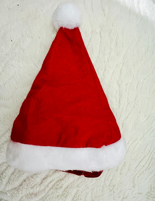 Pet Santa Hat